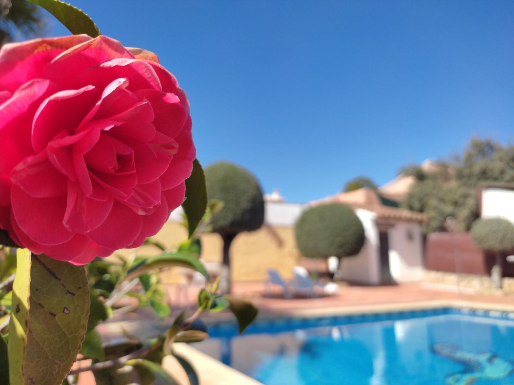Vila Casa Maleda Hornachuelos Exteriér fotografie